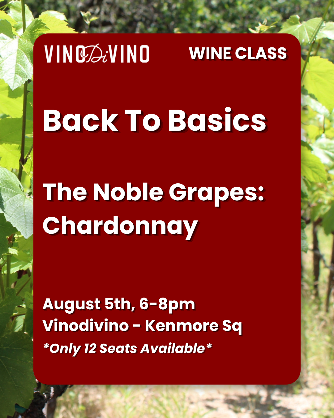 Sauvignon Blanc wine class
