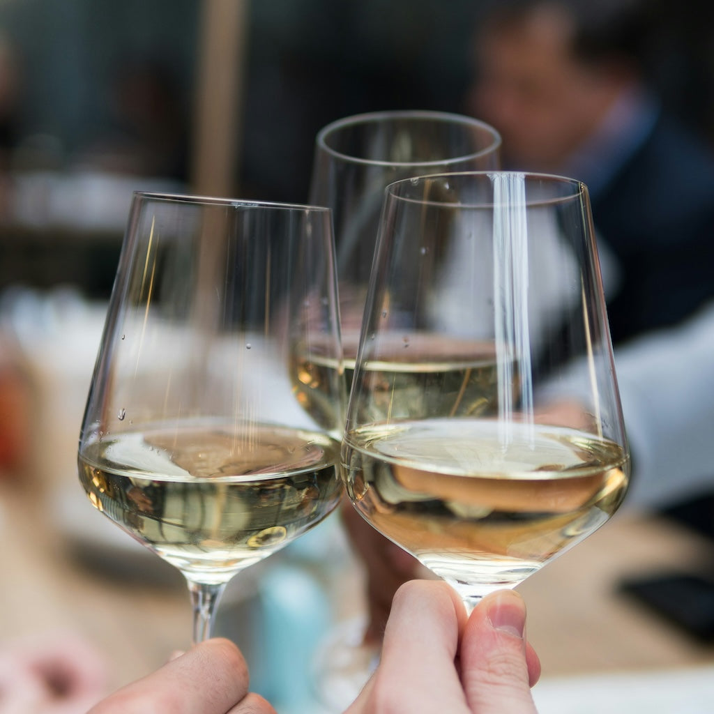 Virtual wine tasting experience with Vinodivino