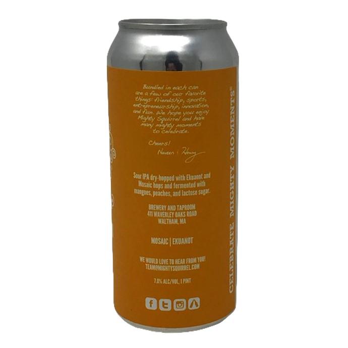 Mighty Squirrel 'Mango Lassi' Sour IPA SINGLE